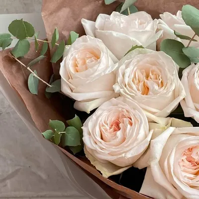 Букет \"Ароматные розы Вайт Охара 15 шт \" - заказать с доставкой недорого в  Москве по цене 8 400 руб.