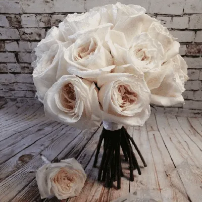 Роза White O'Hara (Уайт Охара) – купить саженцы роз в питомнике в Москве