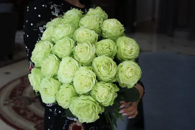 Купить 25 Роз Васаби 60 см с доставкой в Рязани | АМСТЕРДАМ - Цветы и  подарки