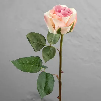 Искусственный цветок Verdi Rose Pale Lilac With Cream 58 cm, Treez  Collection | Home Concept