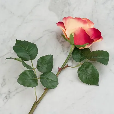 Искусственный цветок Verdi Rose Pale Peach With Crimson 58 cm, Treez  Collection | Home Concept