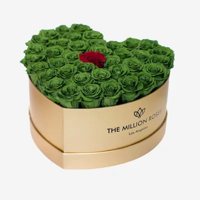 Verdi Rose Sparkletini Spumante