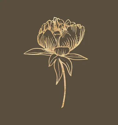 Just For You Rose Box: Verdi – Tai Flora Luxe
