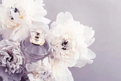 Golden Rose Cosmetics Malta - 𝙑𝙞𝙤𝙡𝙚𝙩 𝙢𝙞𝙨𝙩 𝙚𝙖𝙪 𝙙𝙚  𝙥𝙖𝙧𝙛𝙪𝙢 💜 #goldenrose #perfumes #fragrance | Facebook