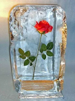 Роза во льду, реалистично» — создано в Шедевруме