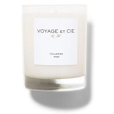 Rose Voyage® - Rosa Voyage® günstig kaufen