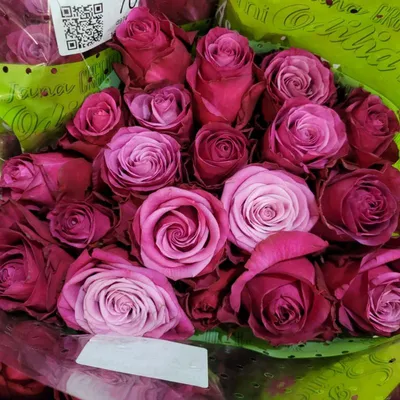 Роза принц | Сравнить цены и купить на Prom.ua