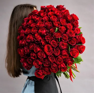 Розы, которые говорят: восхитительные снимки для экспрессии
