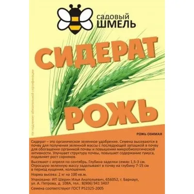 Рожь озимая - сумка 5 кг купить оптом от производителя: цена 50 руб./кг |  Интернет-магазин АлтайКрупа.рф