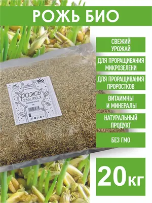 Рожь озимая - купить в Дмитрове, Москве и Московской области по низкой цене