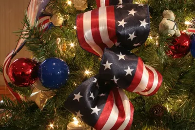 Почему в Америке выгодно встречать Новый год, а не Рождество - ForumDaily