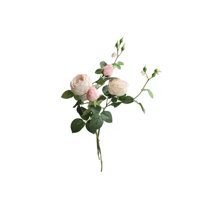 Заказать с днем рождения оранжевые розы FL-1436 купить - хорошая цена на с  днем рождения оранжевые розы с доставкой - FLORAN.com.ua