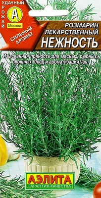 Rosmarinus officinalis Розмарин лекарственный :: svealand *** – Социальная  сеть ФотоКто