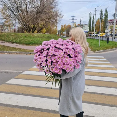 Купить розовые хризантемы