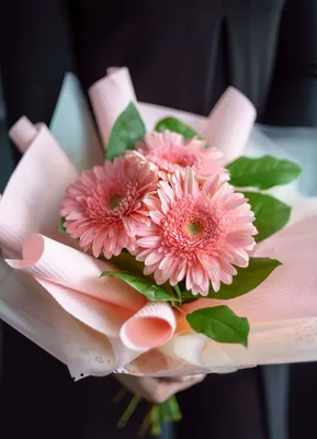 Букет \"Розовые герберы\" с доставкой в Ватутинках — Фло-Алло.Ру, свежие  цветы с бесплатной доставкой