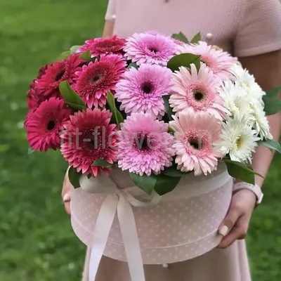 Купить розовые герберы оптом в СПб ✿ Оптовая цветочная компания СПУТНИК