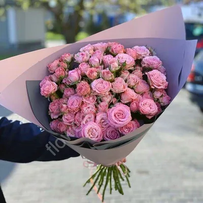 Розовые кустовые розы фото фотографии