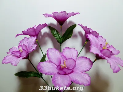 Горячая распродажа! Розовый нарциссы красивый нарцисс семена цветов чистый  воздух нарцисс семена цветы для помещений, 100 семян / мешок, # Dcs9pa |  AliExpress