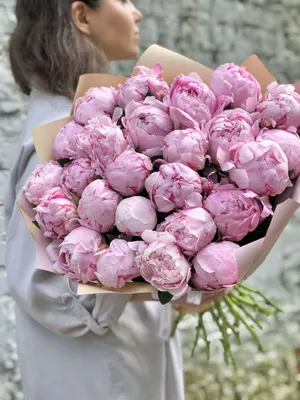 Розовые пионы фото