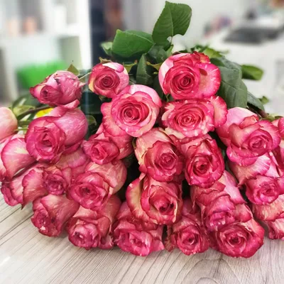Купить розовые розы сорта Faith из Эквадора с доставкой по Екатеринбургу -  интернет-магазин «Funburg.ru»