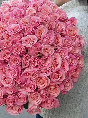 Купить розовые розы сорта Hermosa из Эквадора с доставкой по Екатеринбургу  - интернет-магазин «Funburg.ru»