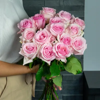 Купить розовые розы Амороса в СПб | Оптовая цветочная компания СПУТНИК