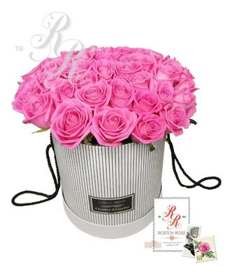 Розы сорта Esperance – купить в Тюмени по цене 3 120 руб. руб.