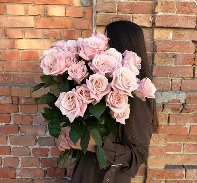 Нежно розовые розы в Кинешме под заказ | Купить розы в Кинешме