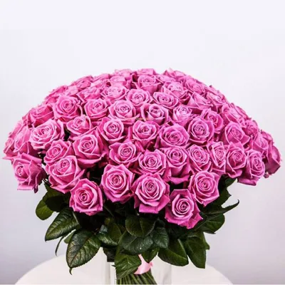 Букет 65 роз сорта \"Hermosa\" в оформлении - купить с доставкой от ElitBuket