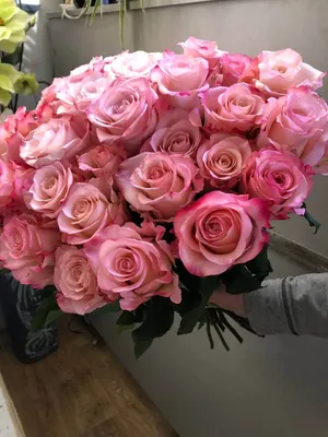 Купить розовые розы Наутика в СПб ✿ Оптовая цветочная компания СПУТНИК