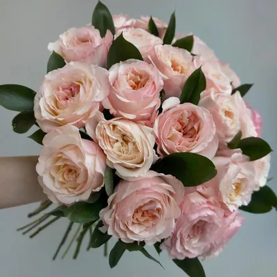 Популярные сорта роз | Flowers Valley