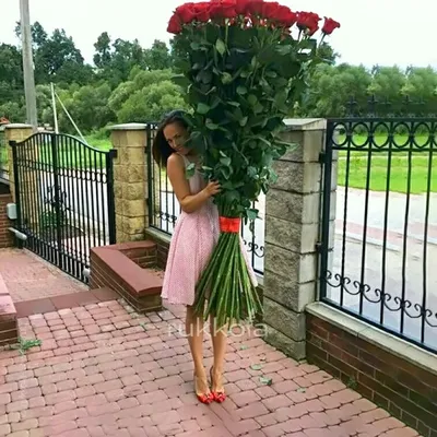 Розы 2 метра фото фотографии