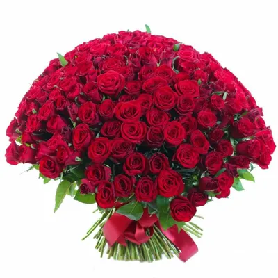Купить Букет 101 роза красная и белая с упаковкой R501 в Москве, цена 16  198 руб.