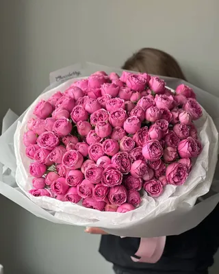 Букет 25 красных роз высотой 100см с гигантской монстерой купить с  доставкой в СПб