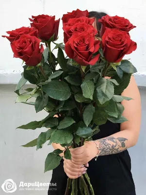 Розы бордовые большой букет купить с доставкой по Томску: цена, фото, отзывы