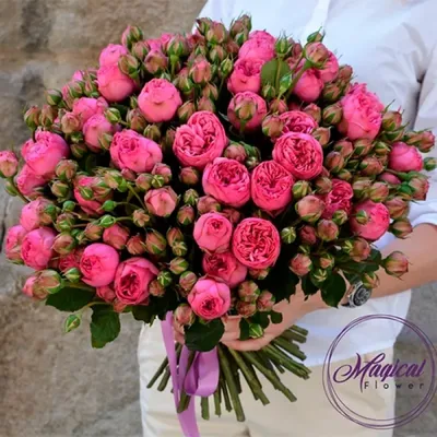 Букет коралловых роз от 9 шт. за 4 090 руб. | Бесплатная доставка цветов по  Москве