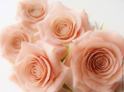 Искусственные цветы - голова розы чайная - искусственные розы купить