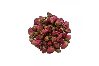 на белом фоне. красный цветочный лист и бутон чайного растения красного  цвета. китайская роза. суданский Стоковое Фото - изображение насчитывающей  лепесток, элемент: 226505196