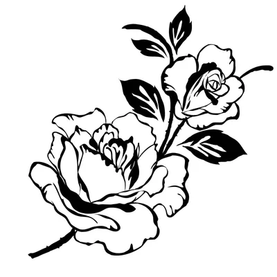 Черно-белые розы, проработка,высокая…» — создано в Шедевруме