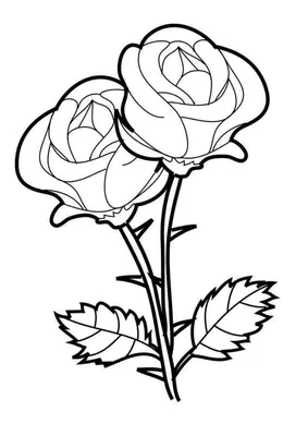 атмосфера эстетика дом уют розы цветы стиль красивые цветы чб | Черно-белое,  Черно-белое фото, Эстетика