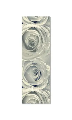 Белые розы - фотообои на заказ. Закажи обои Белые розы (28671)