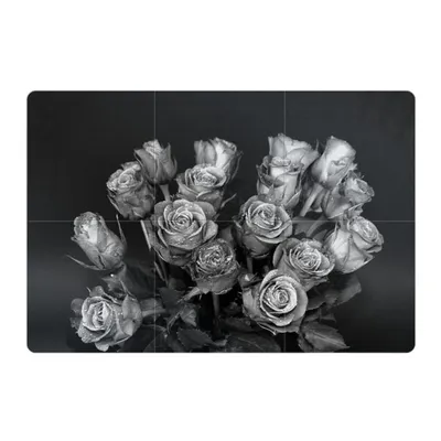 Черно-белые розы стоковое фото. изображение насчитывающей лето - 101098130