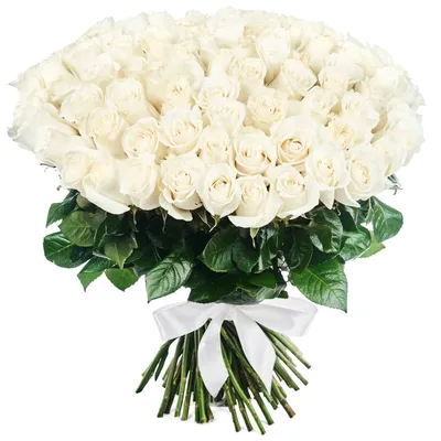 Цветы кустовые белые розы - 71 фото