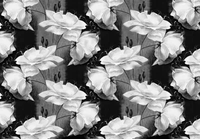 Термоаппликация Розы черно белые Размер 14*21см Цена 70 грн В наличии  Стрейч кулир изумруд Турция Состав хлопок 95%, эластан 5… | Instagram