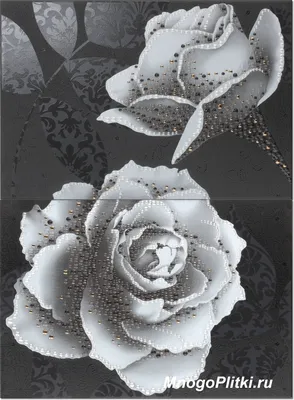 2 шт., черно-белые кружевные винтажные вееры с розами, ручные вееры, нежные  розы, ручной веер для женщин и девочек – лучшие товары в онлайн-магазине  Джум Гик