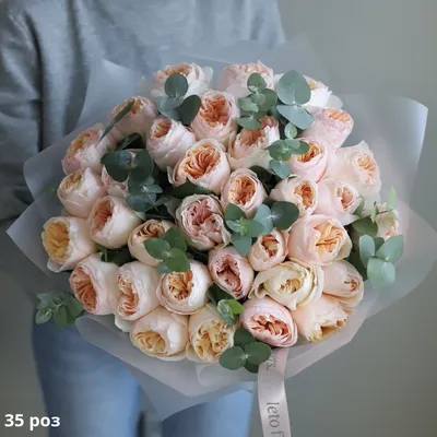 Розы Дэвида Остина (David Austin Roses)