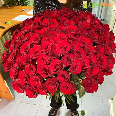 15 красных роз для любимой