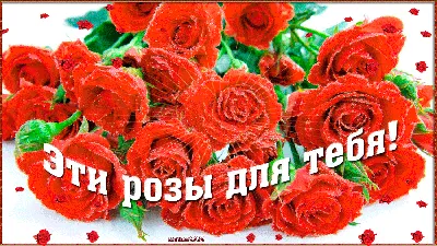 Розы для тебя фото фотографии