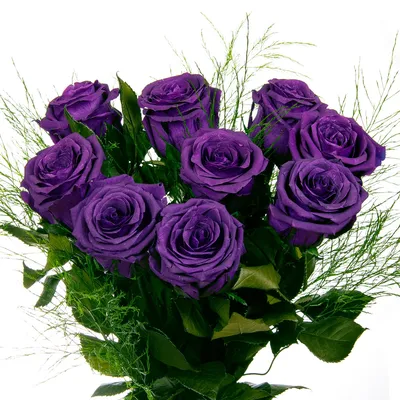 Фиолетовые розы крашеные под ленту