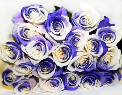 Фиолетовые розы с буквой от 51 шт. за 11 590 руб. | Бесплатная доставка  цветов по Москве